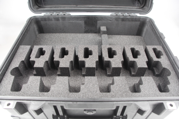 ICOM IC-F29SR2 / F29SDR 6er Set Case